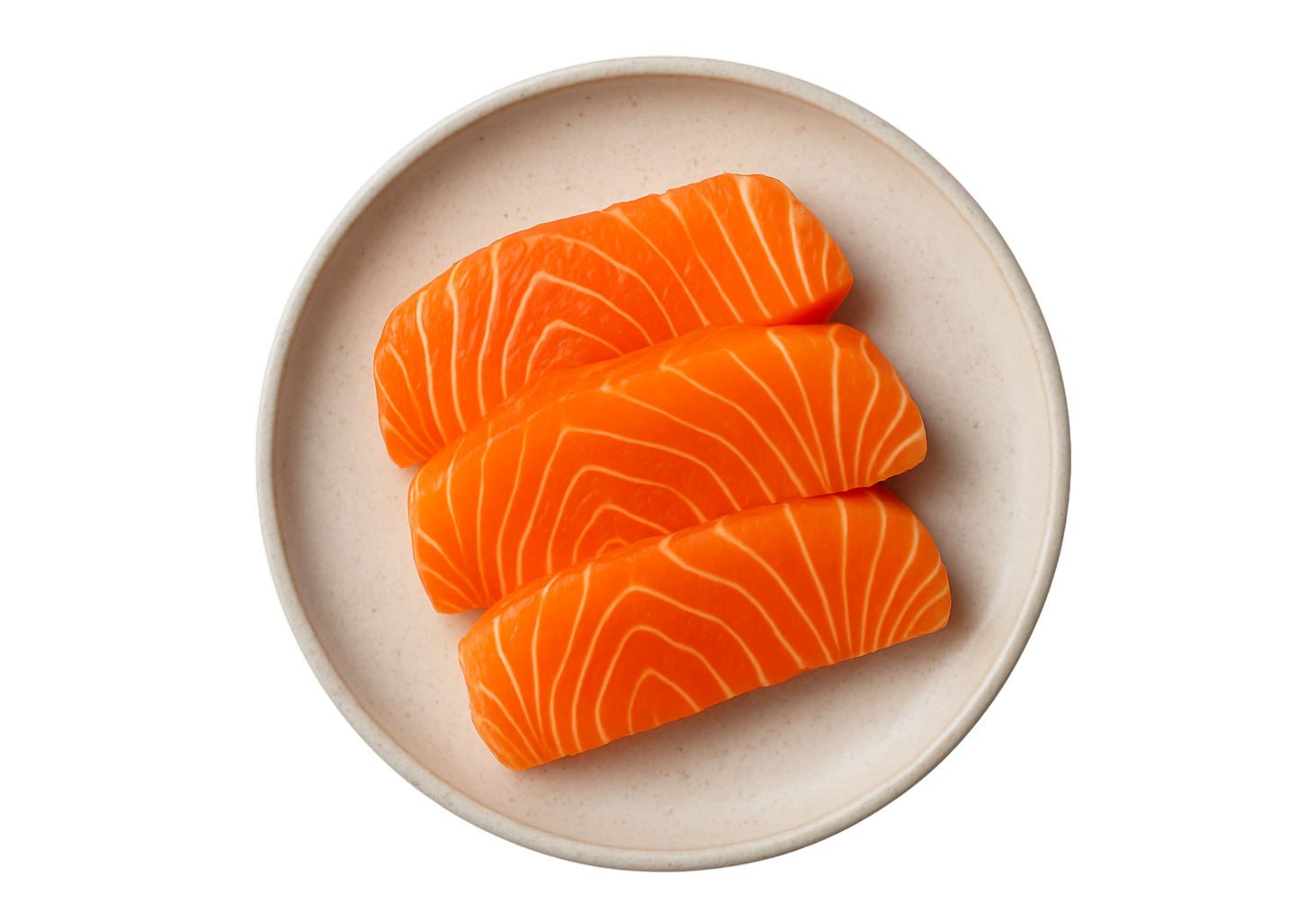 Illustration of seashells